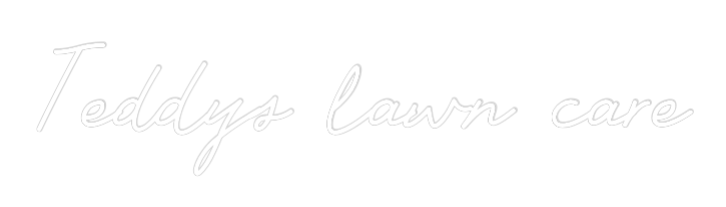 Custom Neon: Teddys lawn c...
